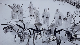 Услышать о подвиге оленеводов